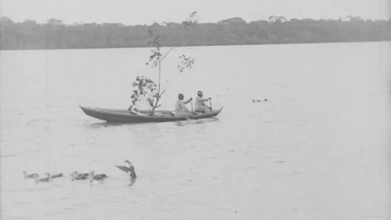 Image du film Amazonas, Maior Rio do Mundo