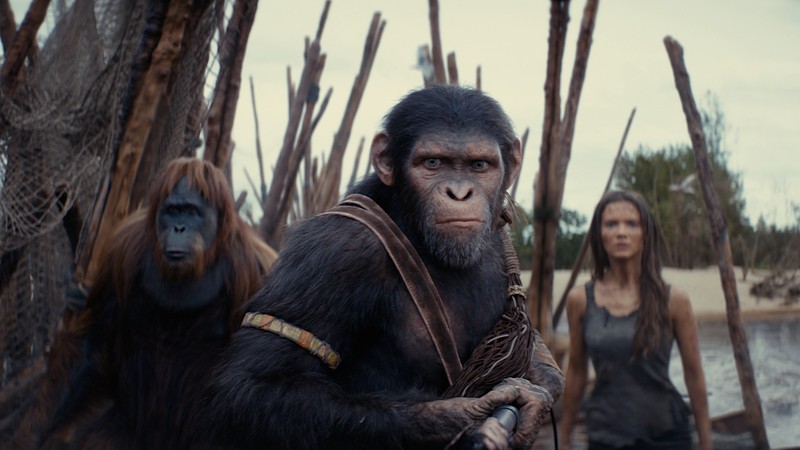 Kingdom of the Planet of the Apes
