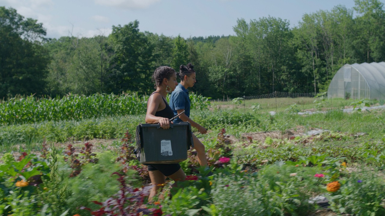 Farming While Black