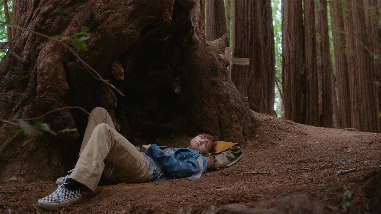 Image du film Avenue of the Giants