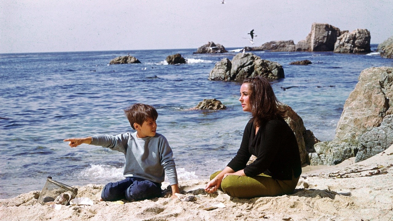 Image du film Le Chevalier des sables