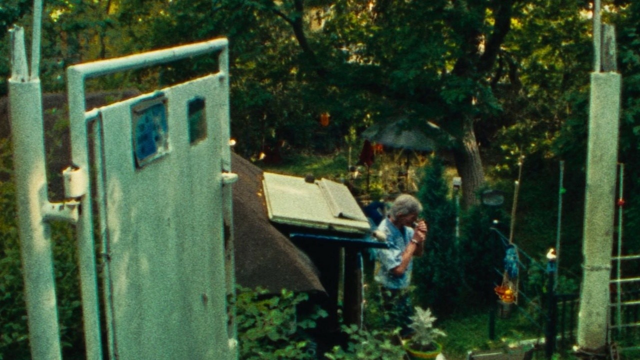 Of Fences and Men