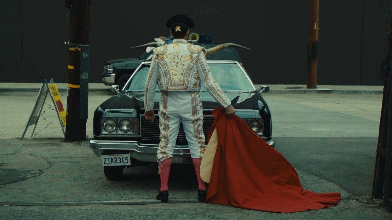 The Bullfighter