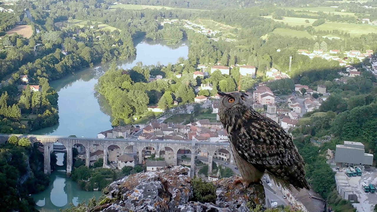 Image du film Des cailloux dans la chaussure