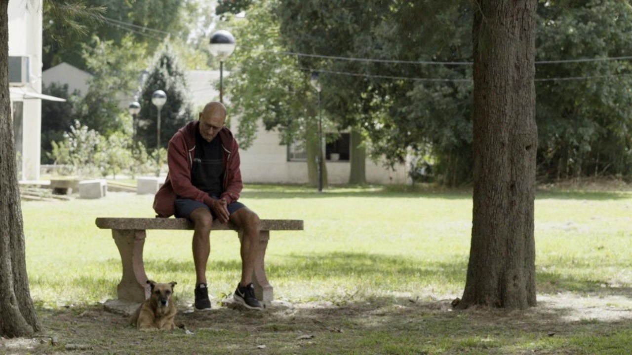 Animal Hospital