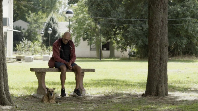 Animal Hospital