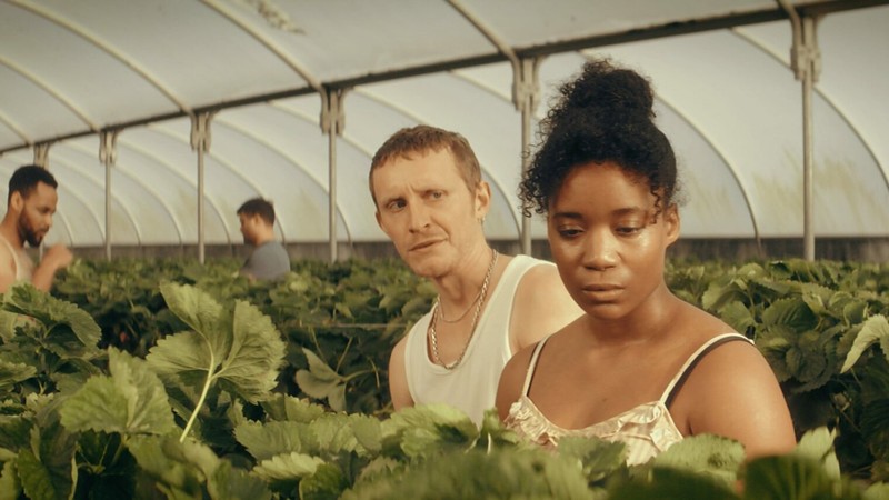 Homegrown