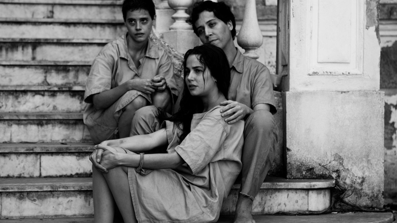 Ninguém Sai Vivo Daqui