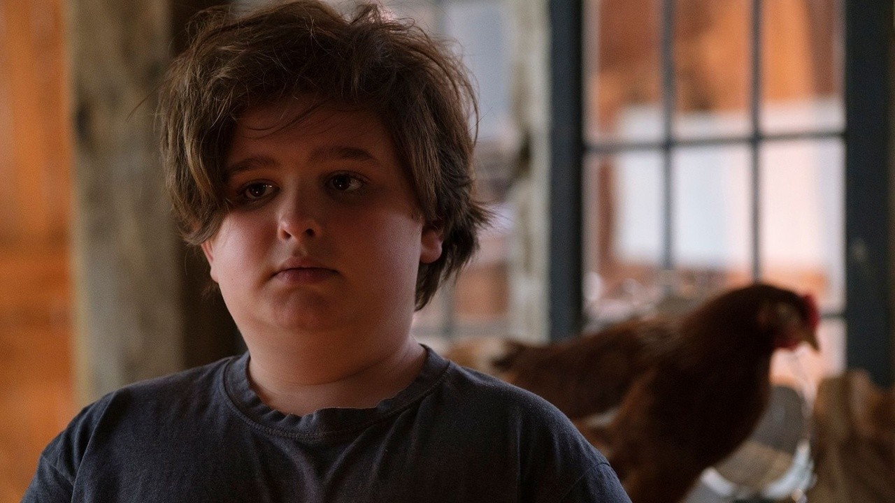 Image du film Coco Ferme
