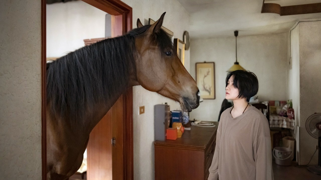 The Horse
