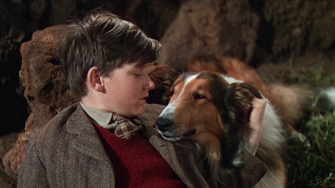 Lassie Come Home