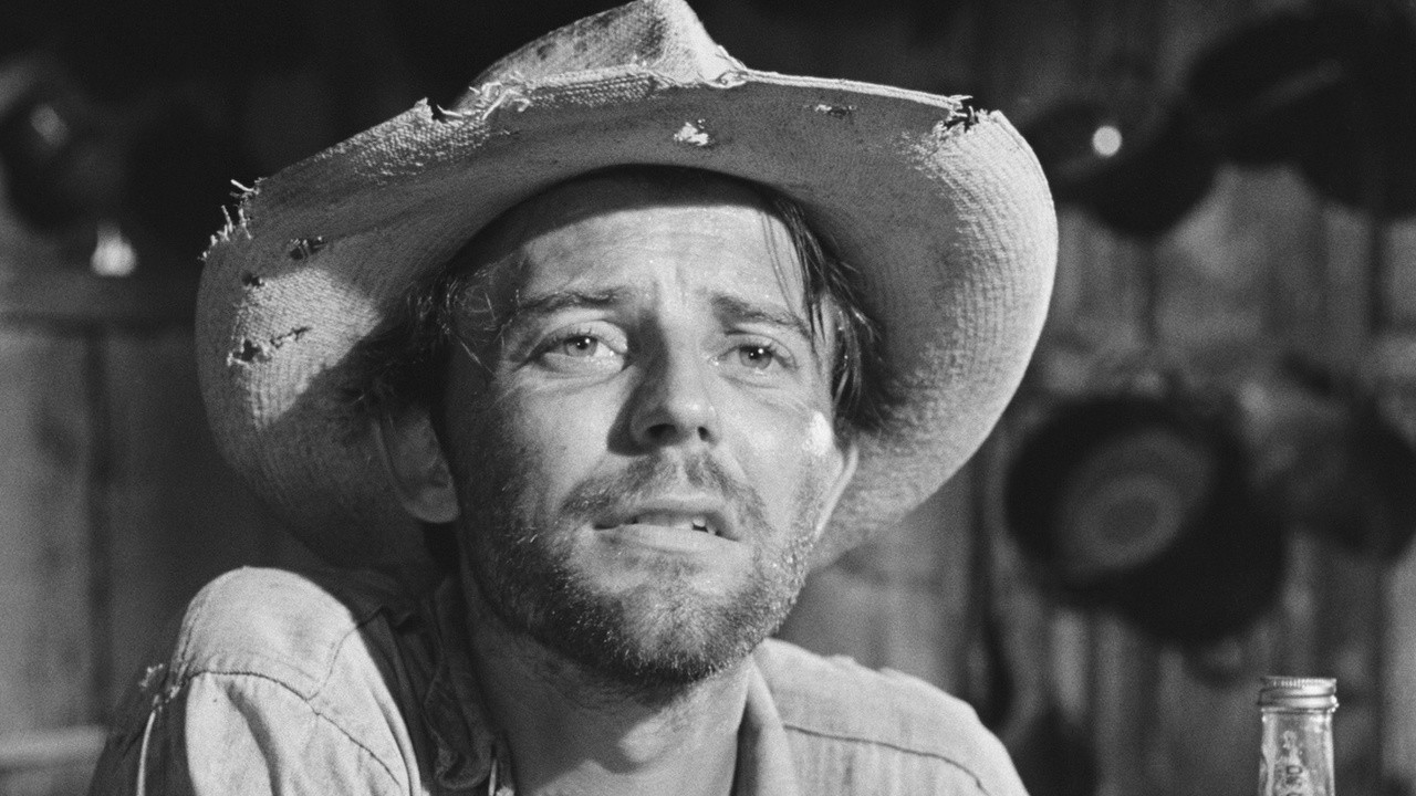 The Proud and the Beautiful