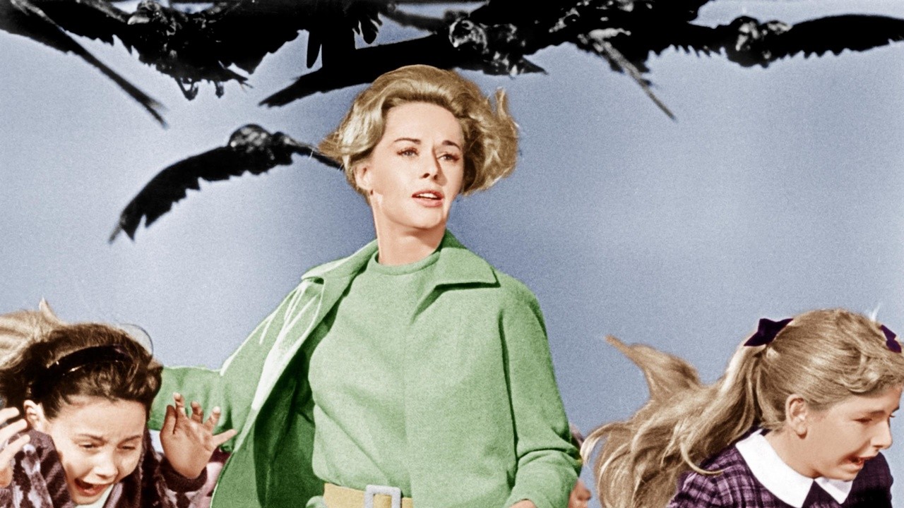 Image du film Les Oiseaux