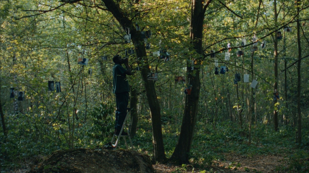Image du film Mémoires du Bois
