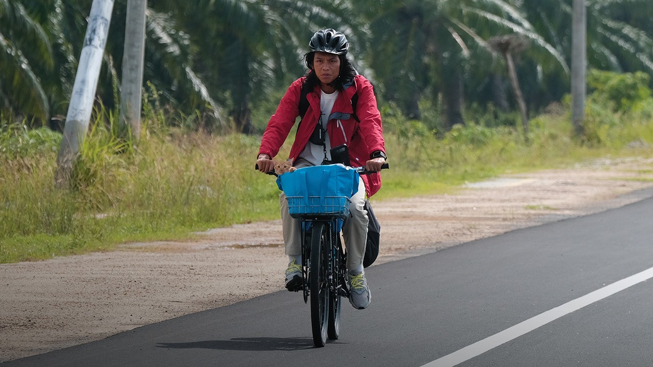 Tujuh Hari Di Bawah Matahari