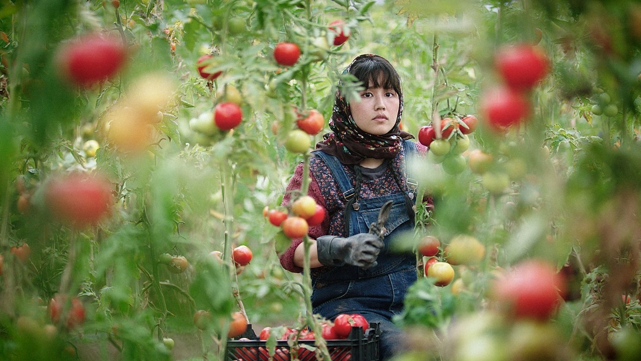 Image du film Au pays de nos frères