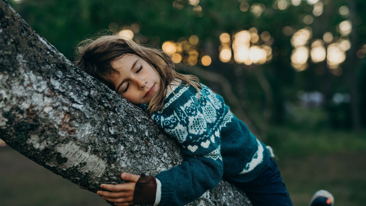Image du film A New Kind of Wilderness