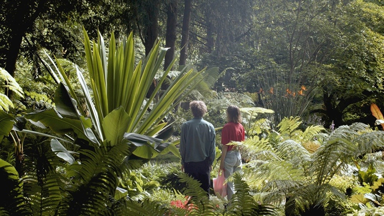 The Garden 2023 Mubi