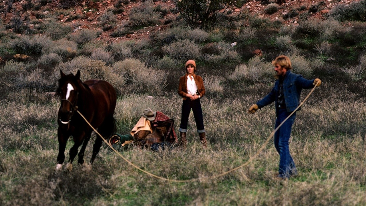 Image du film Le cavalier électrique