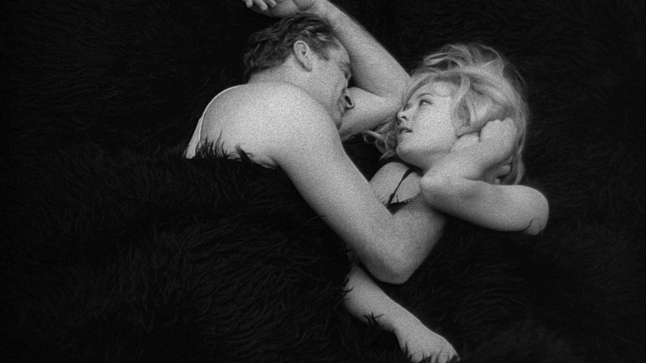 Image du film L'Homme n'est pas un oiseau
