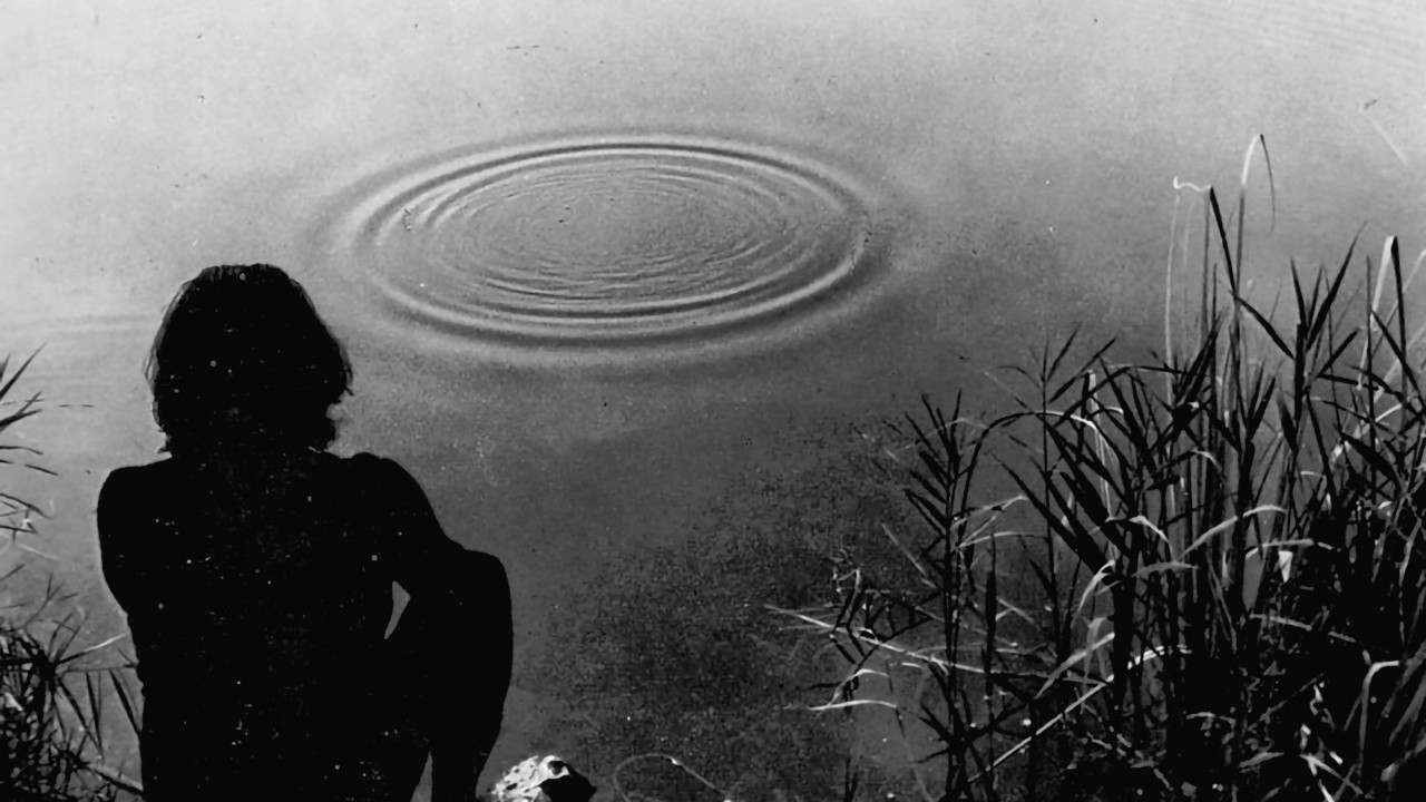 Tentativo di far formare dei quadrati invece che dei cerchi intorno ad un sasso che cade nell'acqua