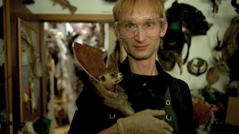 Taxidermia