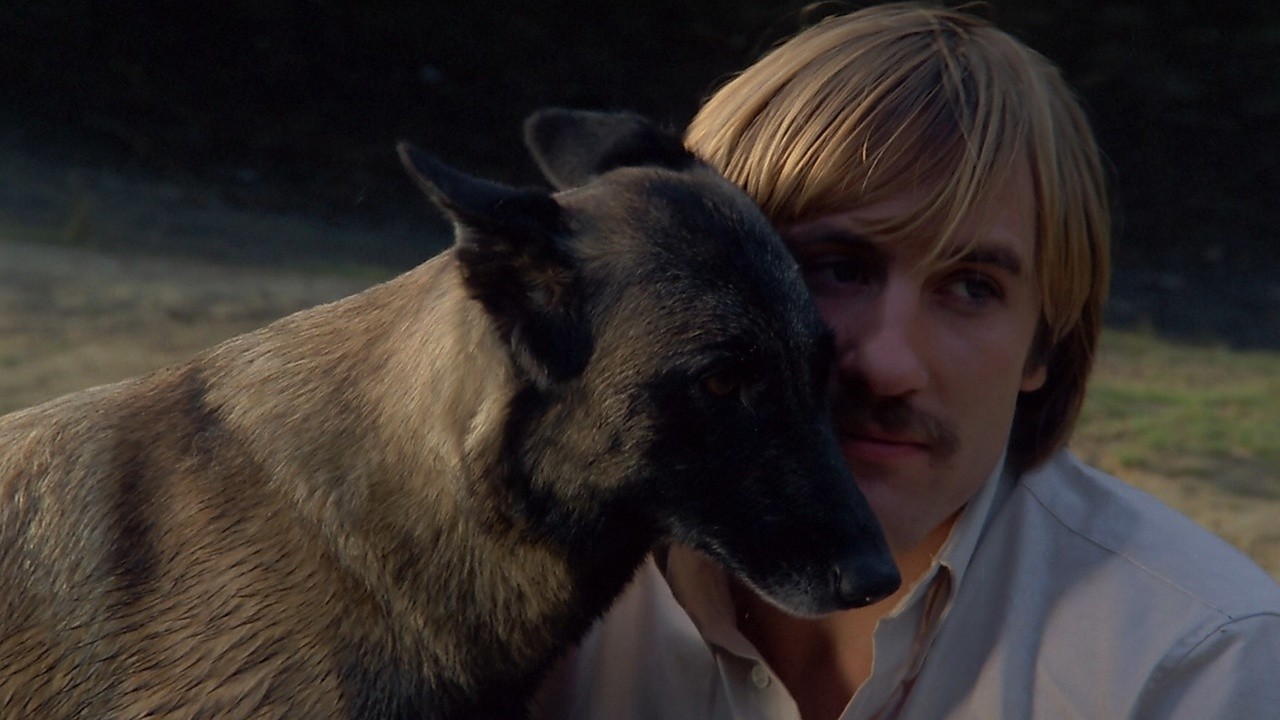 Image du film Les Chiens