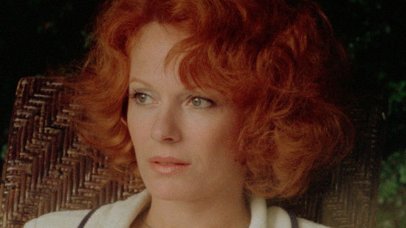 The Garden That Tilts