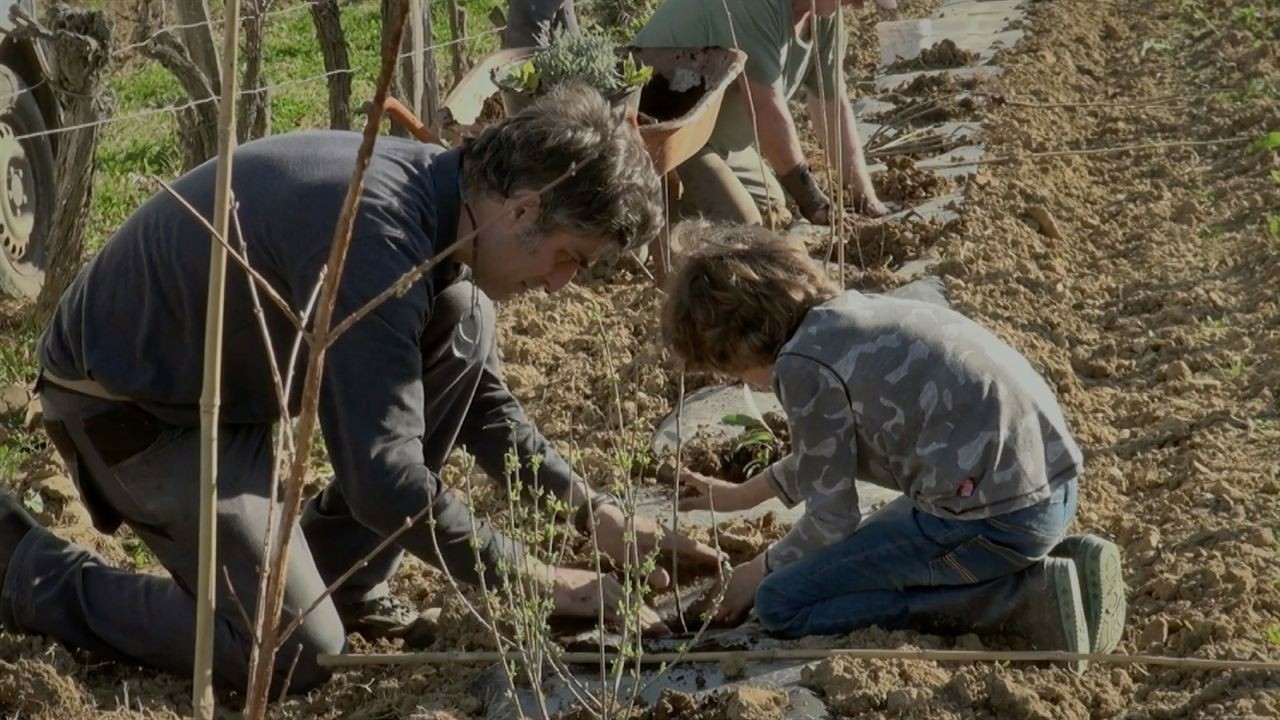 Image du film Prendre soin de la Terre