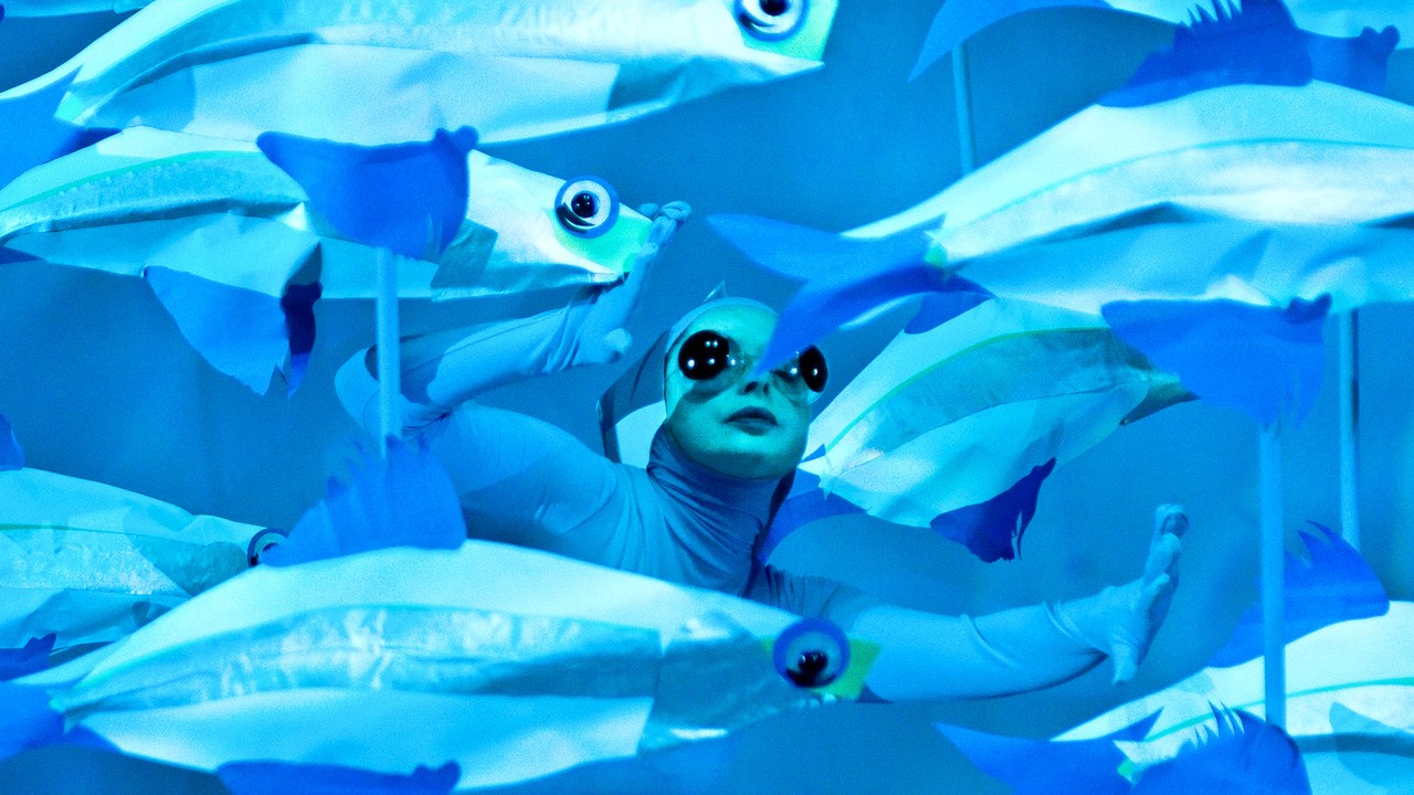 Green Porno: Anchovy
