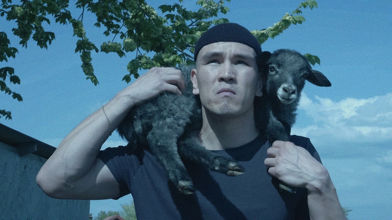 Black Sheep
