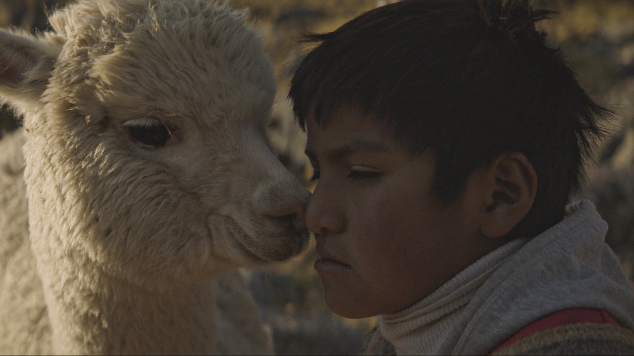 Image du film Raíz