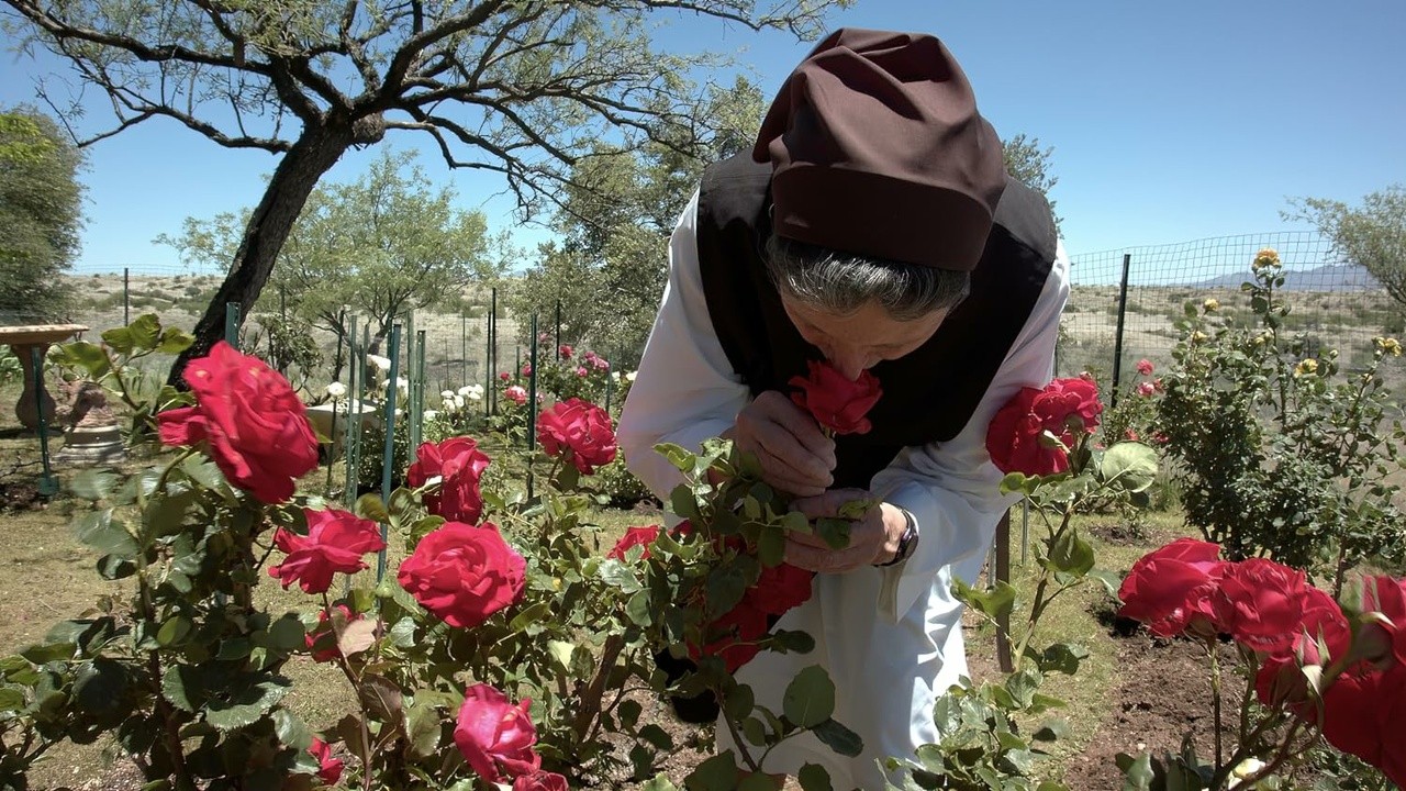 Final Vows