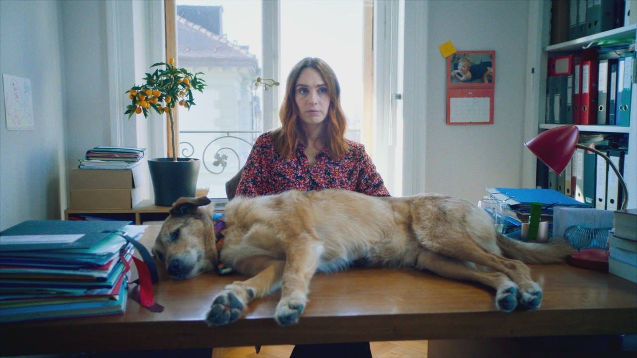 Image du film Le Procès du chien