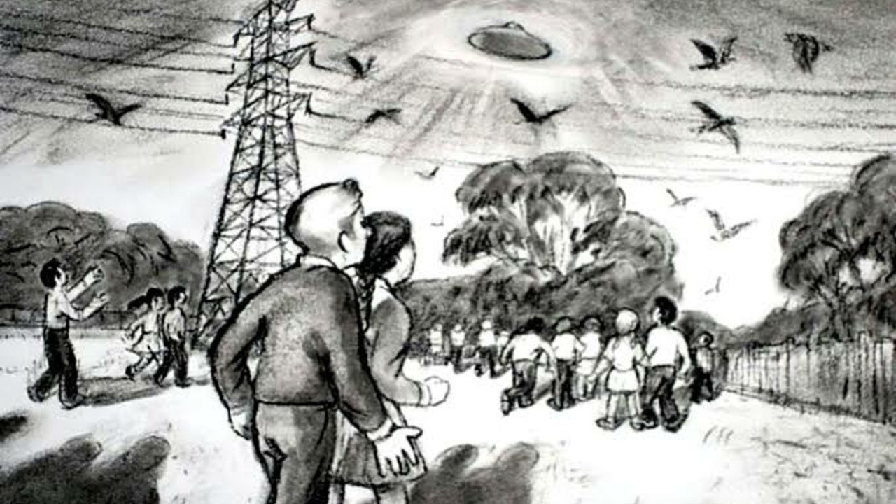 Westall '66: A Suburban UFO Mystery