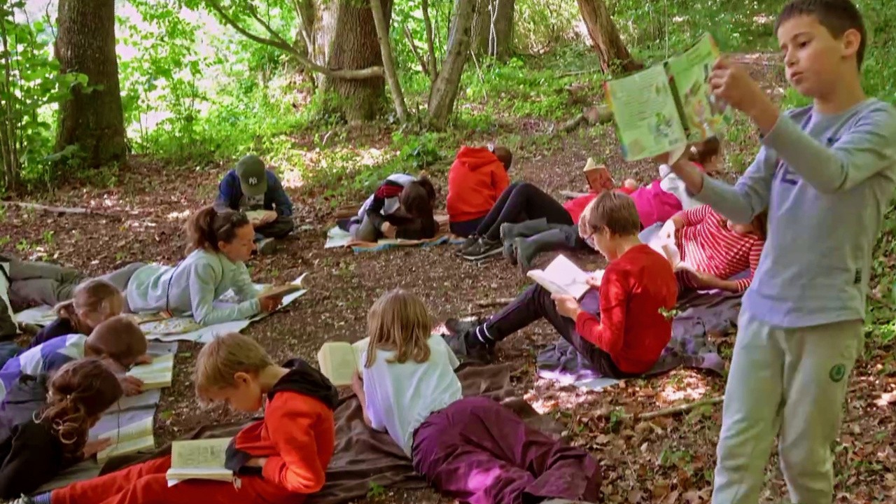 Image du film La forêt c'est la classe !