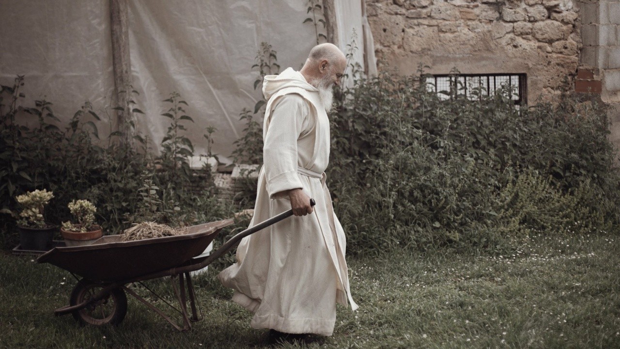 Image du film Libres