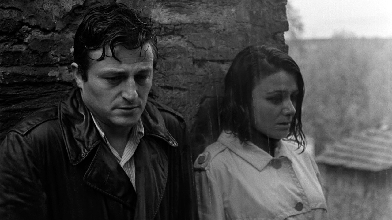 Image du film Time to Love
