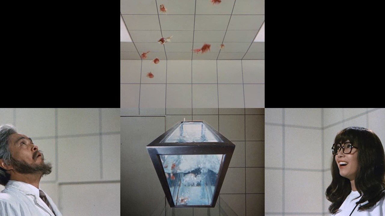 Image du film 240 Hours in One Day