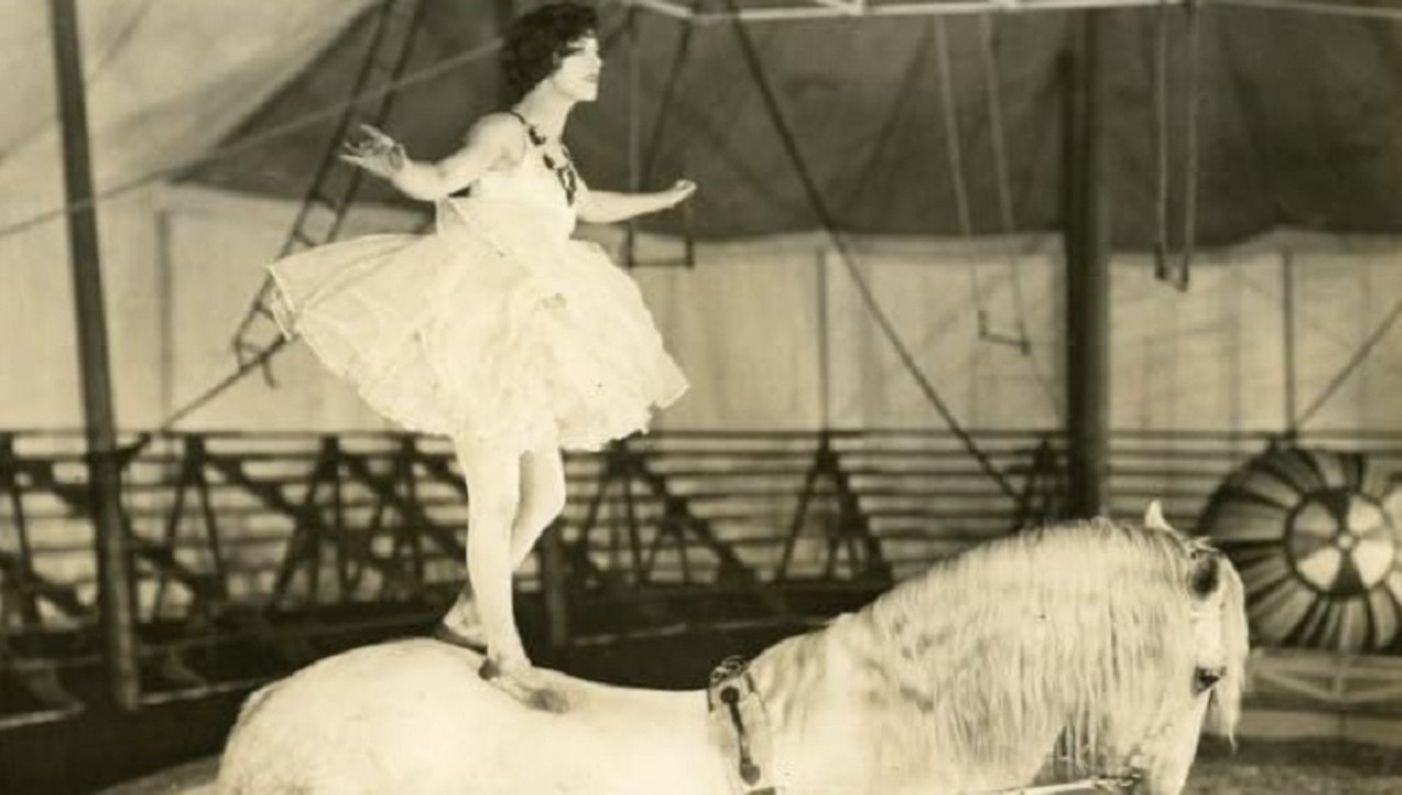 Shirley of the Circus