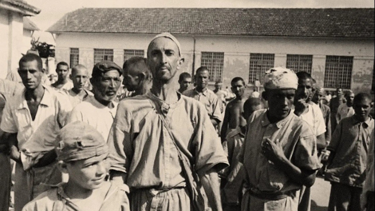 Holocausto Brasileiro
