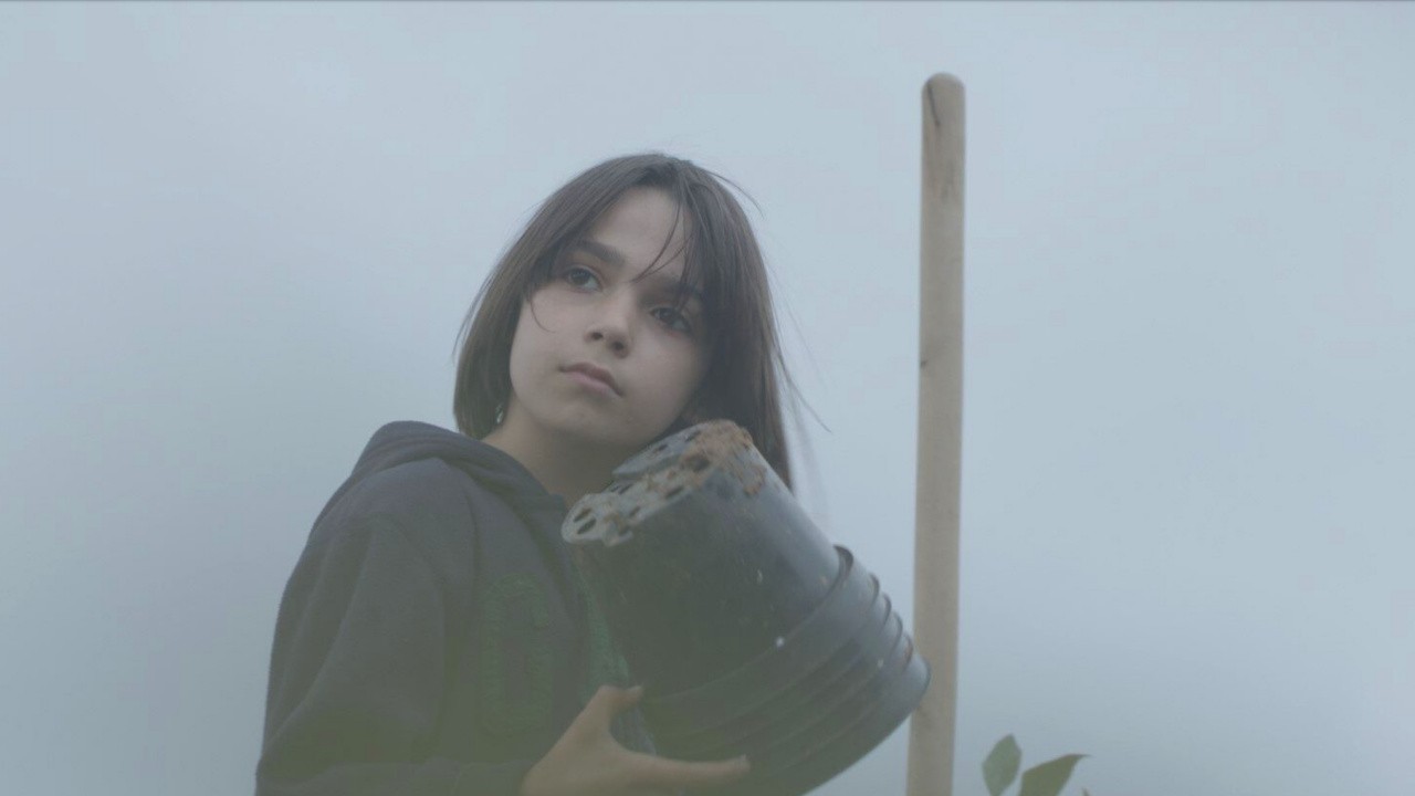 Image du film Blueberry Dreams