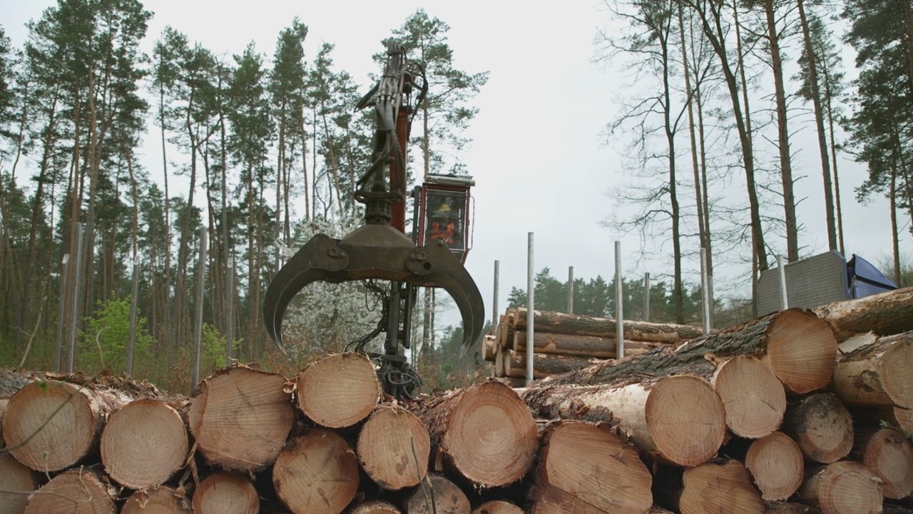 Image du film Ikea, le seigneur des forêts