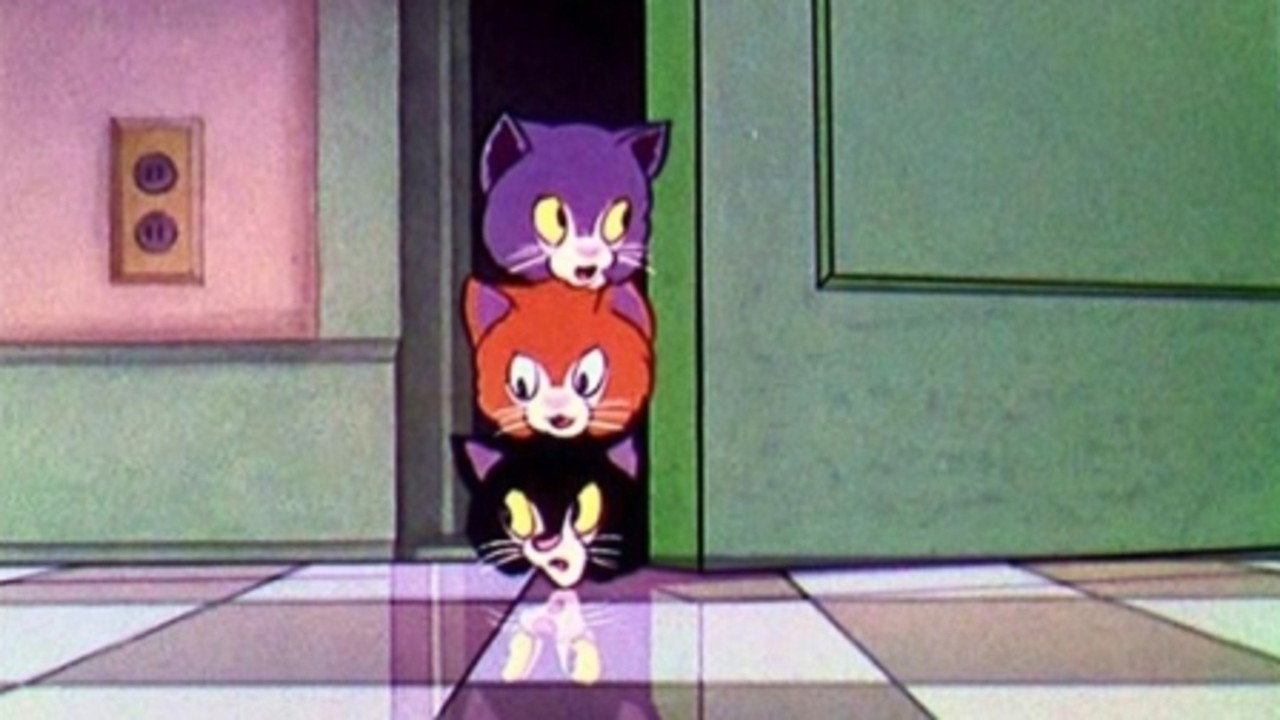 Three Orphan Kittens