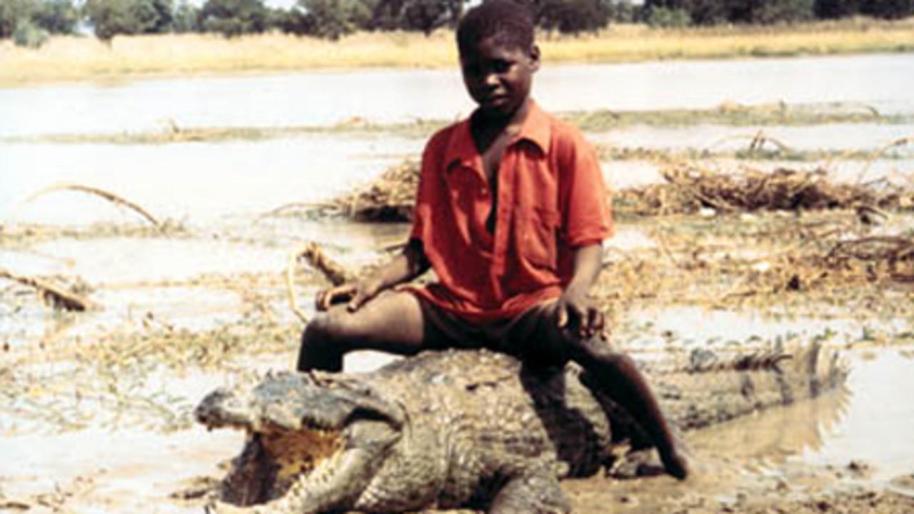 The Child and the Cayman