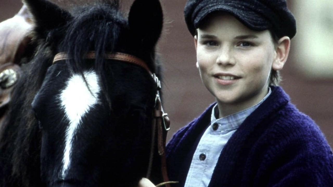 Pit Pony: A Diamond in The Rough