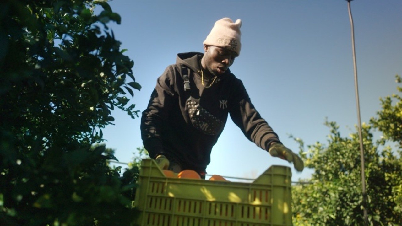 Image du film The Pickers