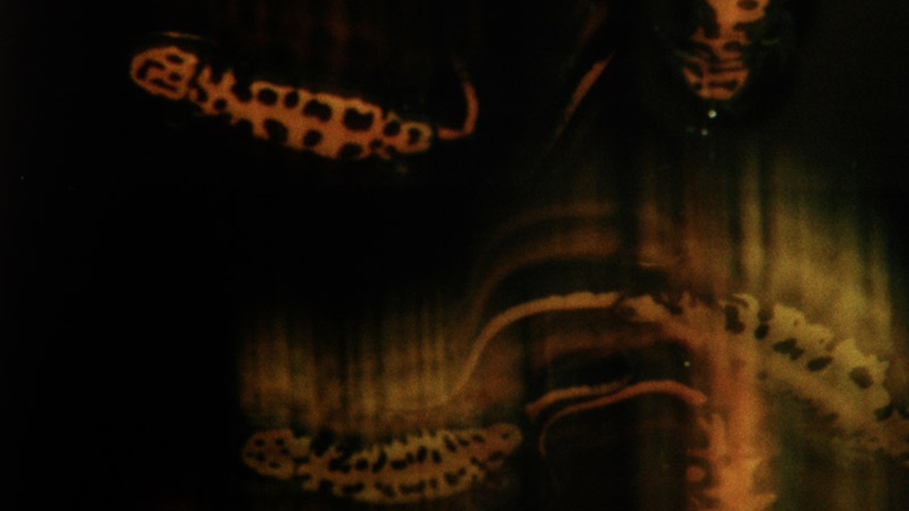 Fire Belly (2022) | MUBI