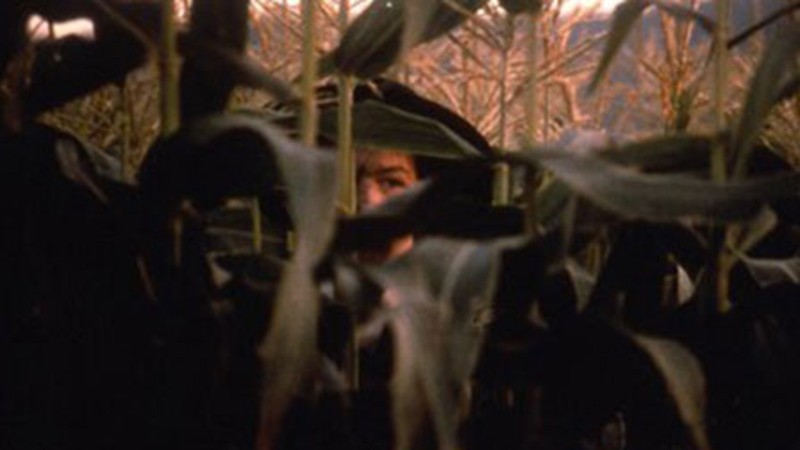Children of the Corn: The Gathering