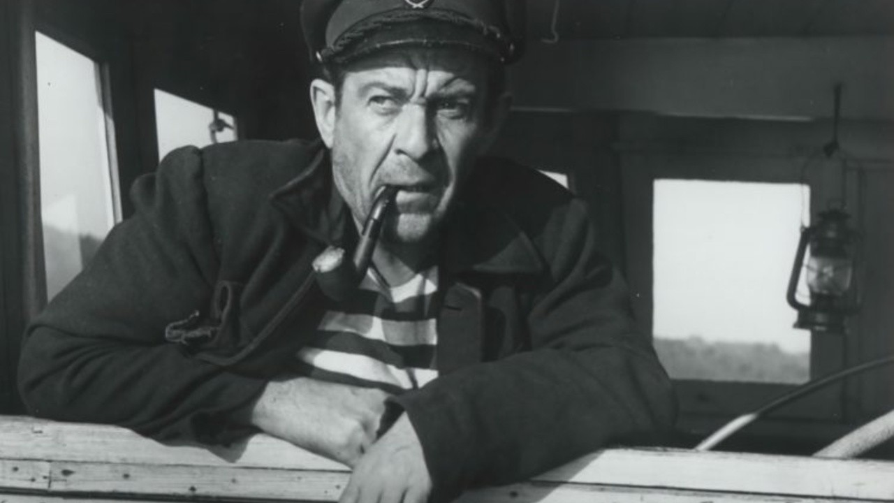 Pavle Vuisic 1926-1988